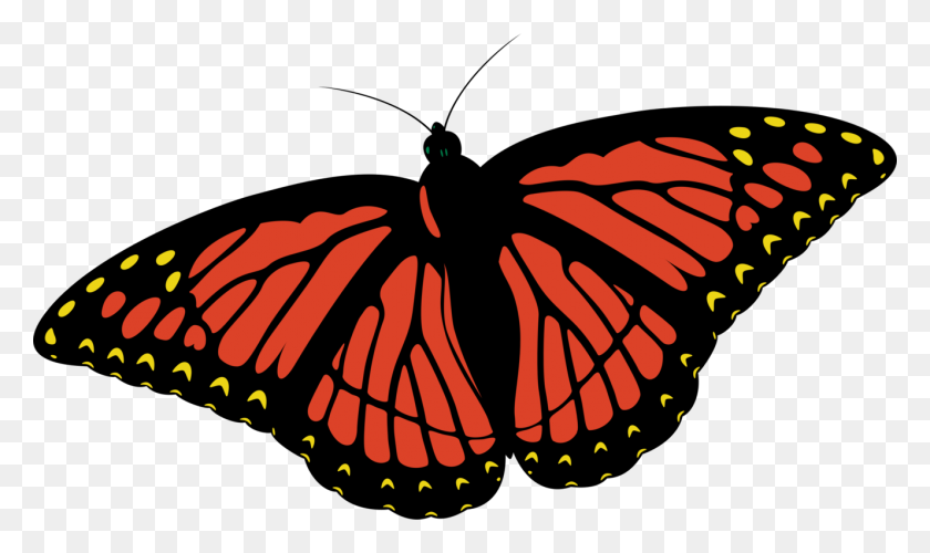 1327x750 Монарх Бабочка Насекомое Книжка-Раскраска Рисунок - Настоящая Бабочка Png