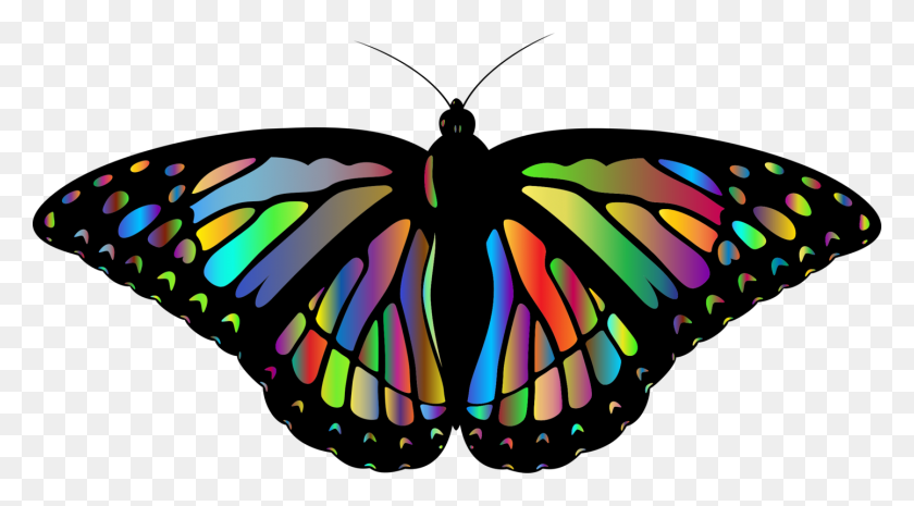 1443x750 La Mariposa Monarca De Insectos De Dibujo De Video - La Mariposa Monarca Png