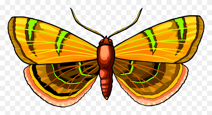 1475x750 Monarch Butterfly Moth Pieridae Brush Footed Butterflies Free - Orange Butterfly Clipart