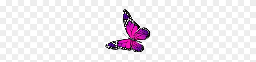 150x145 Бабочка Монарх Векторный Клипарт Бабочки - Бабочка Монарх Клипарт