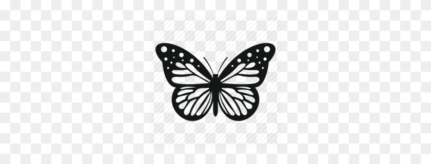 260x260 Monarch Clipart - White Butterfly Clipart