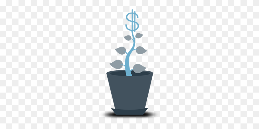 200x358 Money Plant - Money Tree PNG