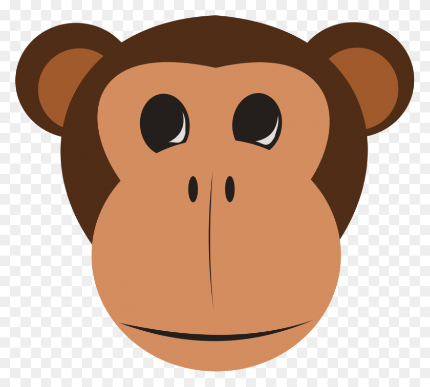 800x715 Monkey Faces Clip Art - Amazing Race Clipart
