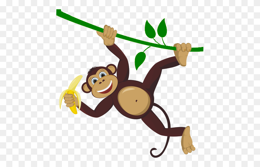 475x480 Monkey Transparent Png Pictures - Monkey PNG