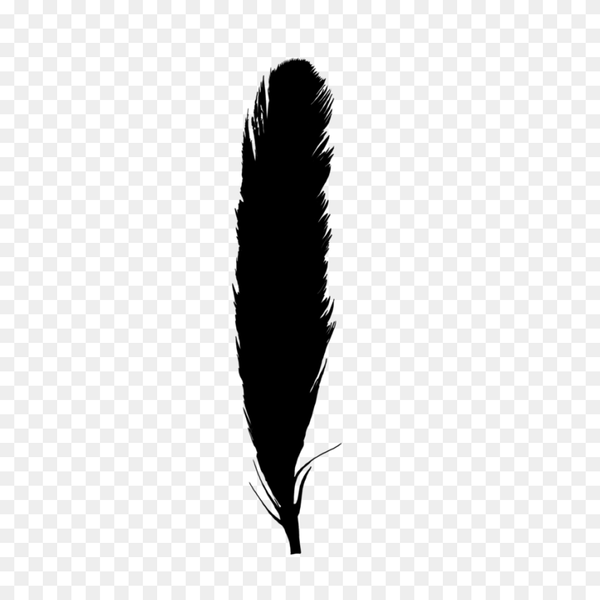 894x894 Monochrome Photography Feather Quill - Black Feather PNG