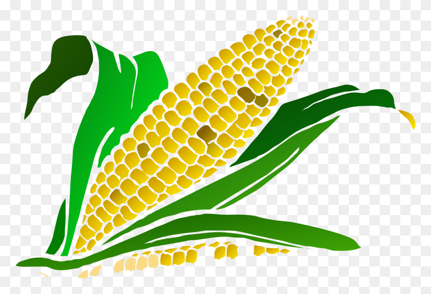 1920x1267 Monsanto Acaba De Obtener La Primera Licencia De Crispr Para Modificar Cultivos Scipol - Cultivos Png