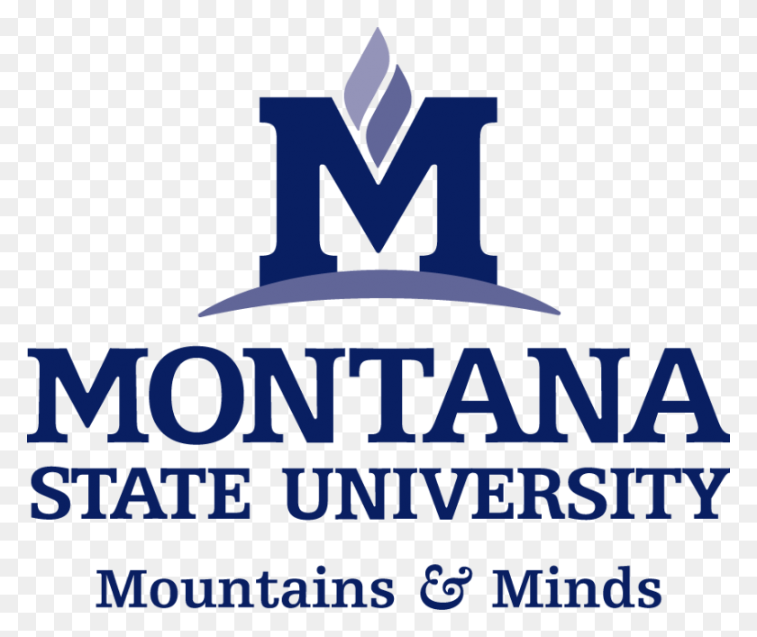 847x703 La Universidad Estatal De Montana Logotipo De La Página De Descarga - Msu Logotipo Png