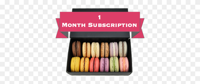 384x293 Month Subscription - Macaron PNG