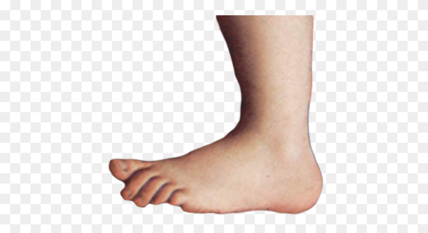 442x397 Monty Python Foot - Foot PNG