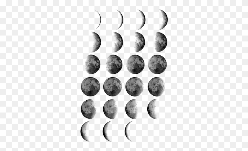 298x450 Moon Phase Png Png Image - Moon Phases PNG