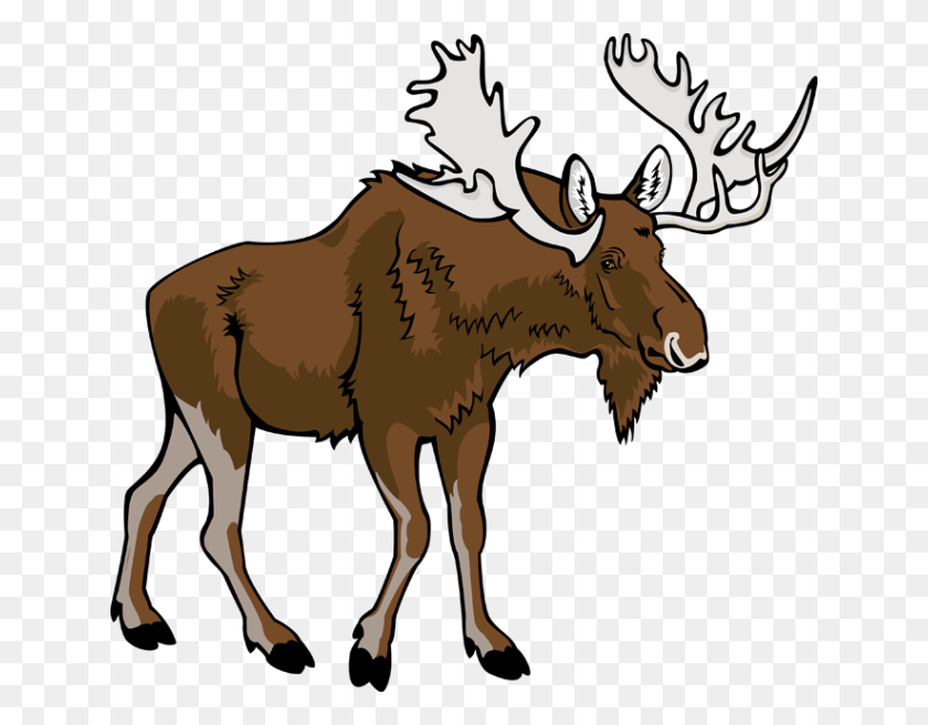 640x596 Moose Clipart - Wilderness Clipart
