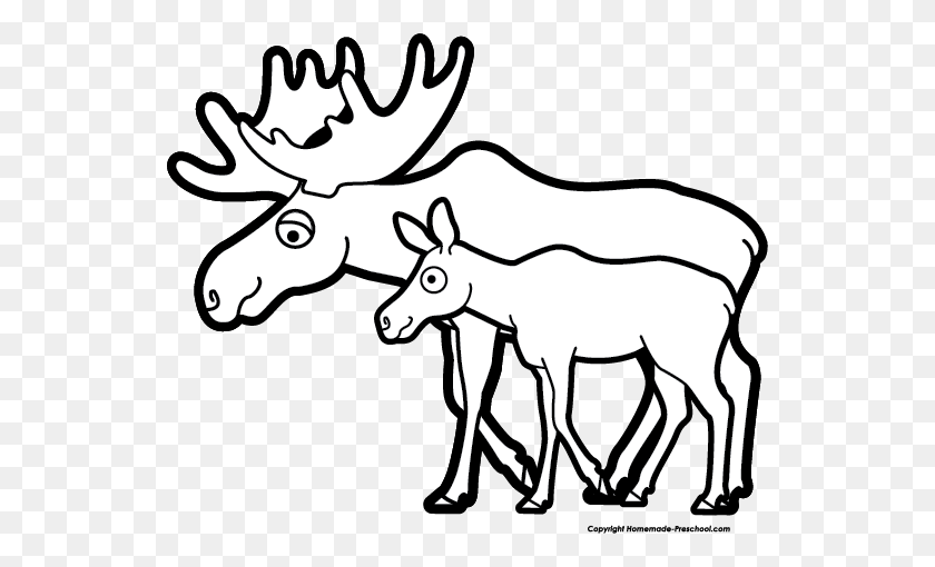 540x450 Moose Clipart - Calf Clipart Black And White