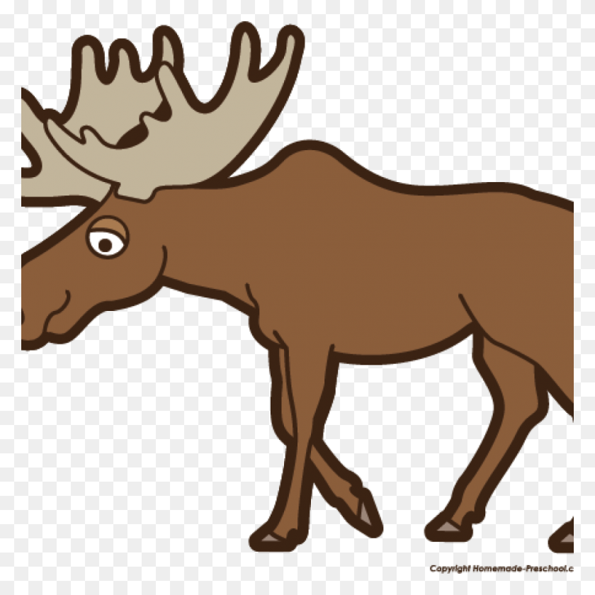 1024x1024 Moose Clipart Angry Free Money - Moose Silhouette PNG