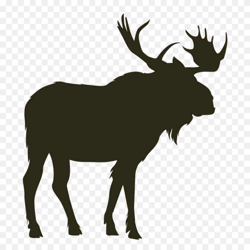 800x800 Moose Clipart Moose Hunting - Hunting And Fishing Clipart