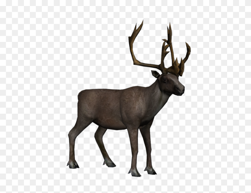 1024x768 Moose, Elk Png - Moose Silhouette PNG
