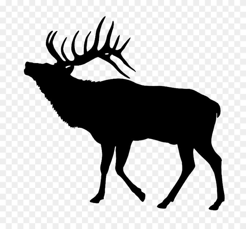 720x720 Moose, Elk Png Images Free Download - Moose Silhouette PNG