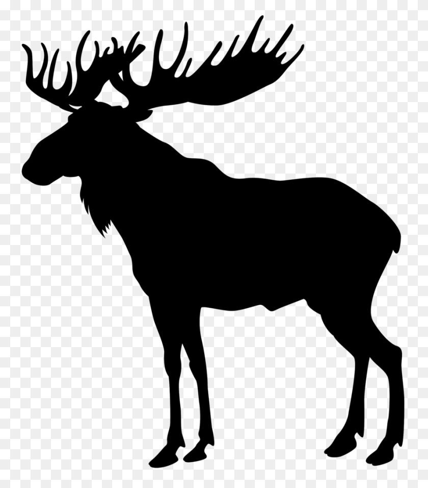 891x1024 Moose Silhouette Png Clip Art Image - Free Brain Clipart