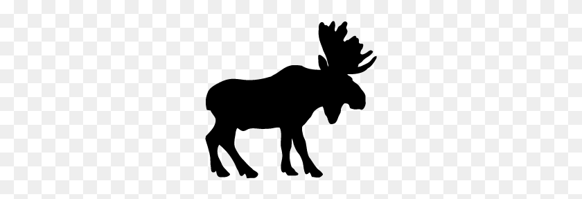 248x227 Moose Silhouette Silhouette Of Moose Cliparts - Moose Silhouette PNG