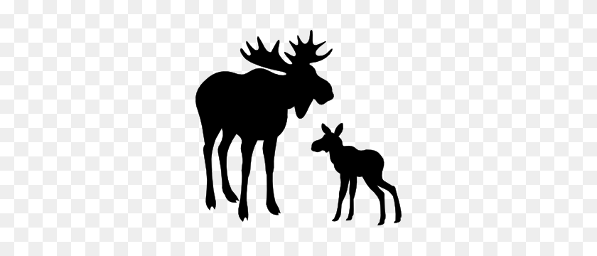 300x300 Moose With Big Antlers Sticker - Moose Silhouette PNG