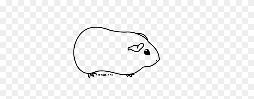 360x270 More Collections Like Kitty Line Art - Guinea Pig Clipart