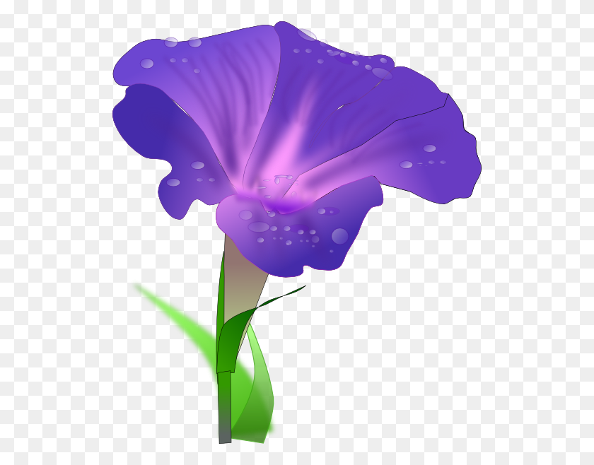 522x598 Morning Glory Flower Png, Clip Art For Web - Violet Flower Clipart
