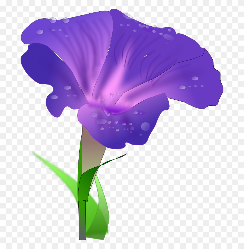 698x800 Morning Glory Free Download Png Vector - Morning PNG