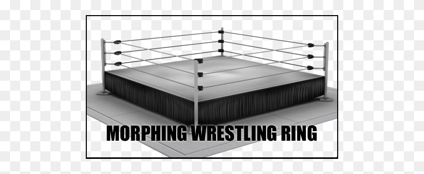 500x285 Morphing Wrestling Ring For Daz Studio - Wrestling Ring PNG
