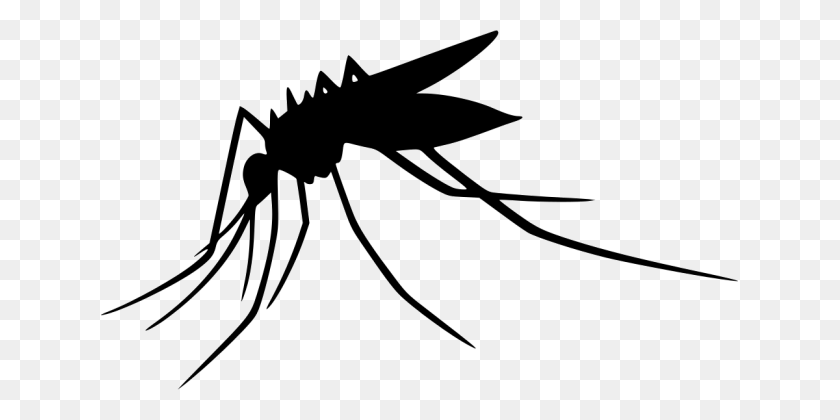 637x360 Mosquito - Mosquito Clipart
