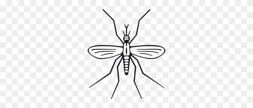 258x298 Mosquito Clip Art - Bugs Clipart Black And White