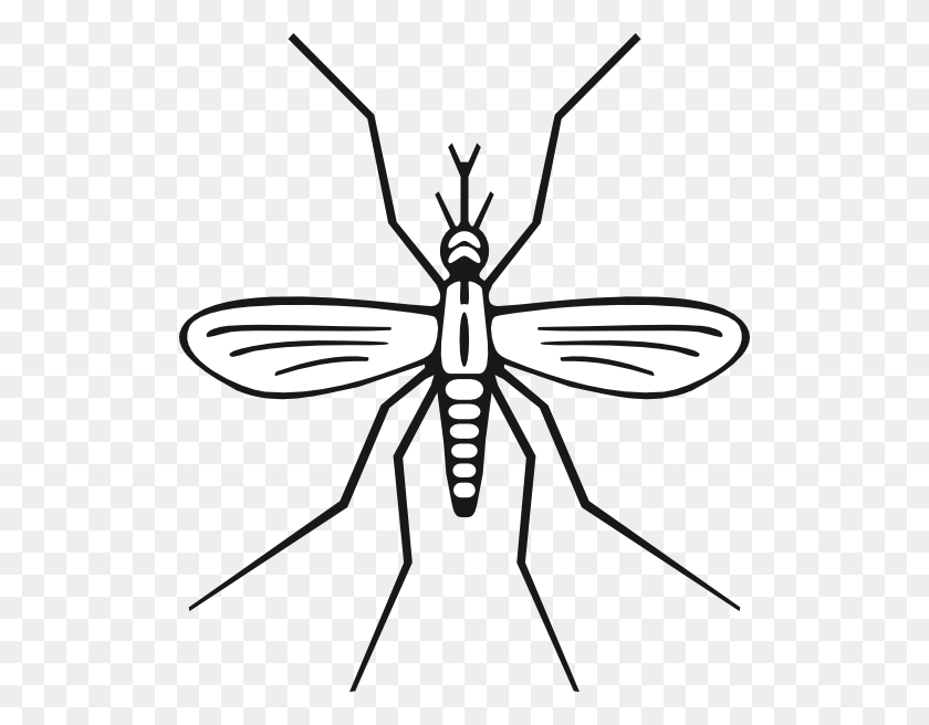 516x596 Mosquito Clip Art Mosquito - Leech Clipart
