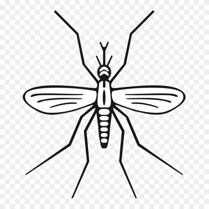 800x800 Mosquito Clipart - Mosquito Clip Art