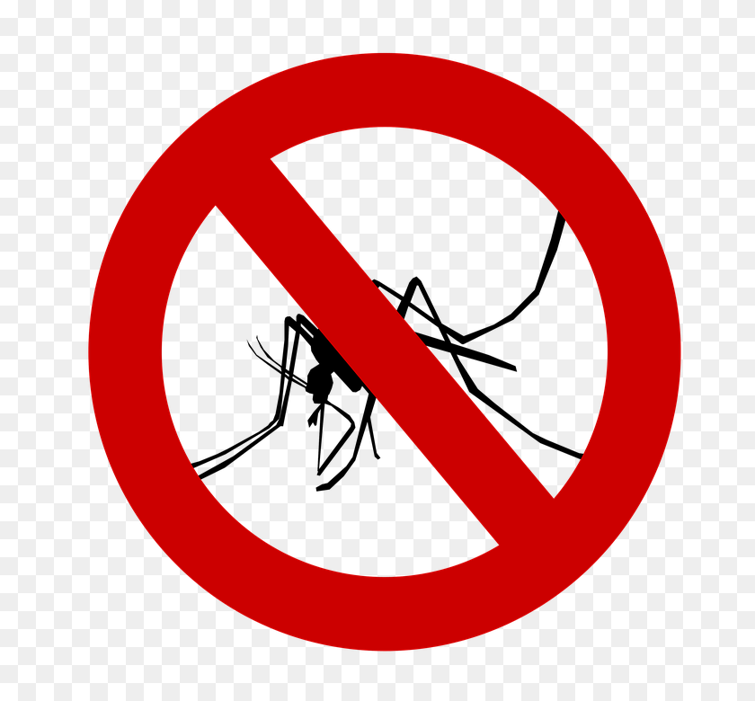 720x720 Mosquito Clipart Picadura De Insecto - Picadura De Clipart