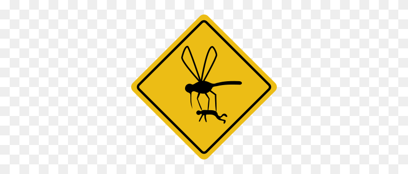 300x300 Mosquito Hazard Png Clip Arts For Web - Mosquito PNG