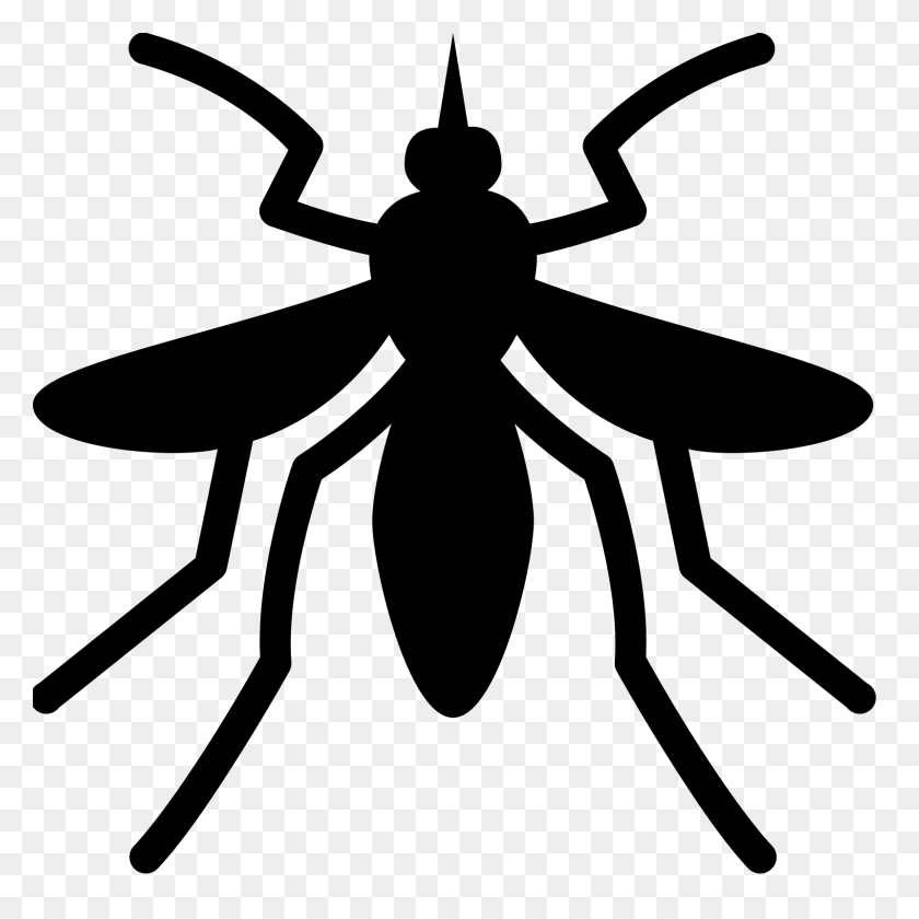 1600x1600 Mosquito Icon - Mosquito PNG