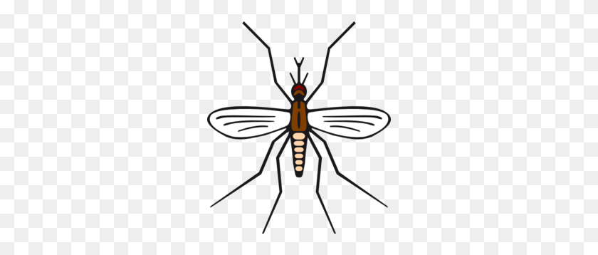 258x298 Imágenes Prediseñadas De Mosquito En Color Marrón - Imágenes Prediseñadas De Mosquito