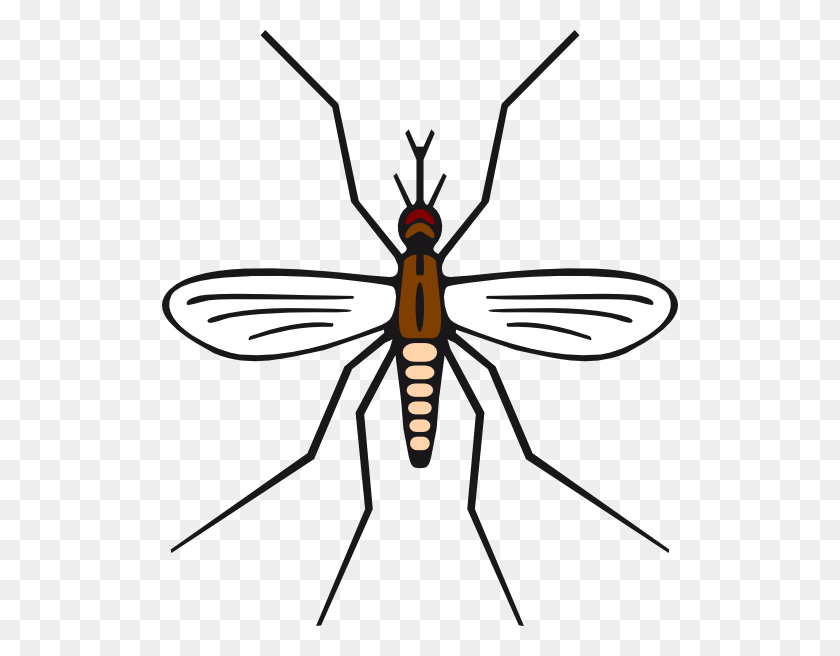 516x596 Mosquito En Color Marrón Clipart - Mosquito Clipart Free