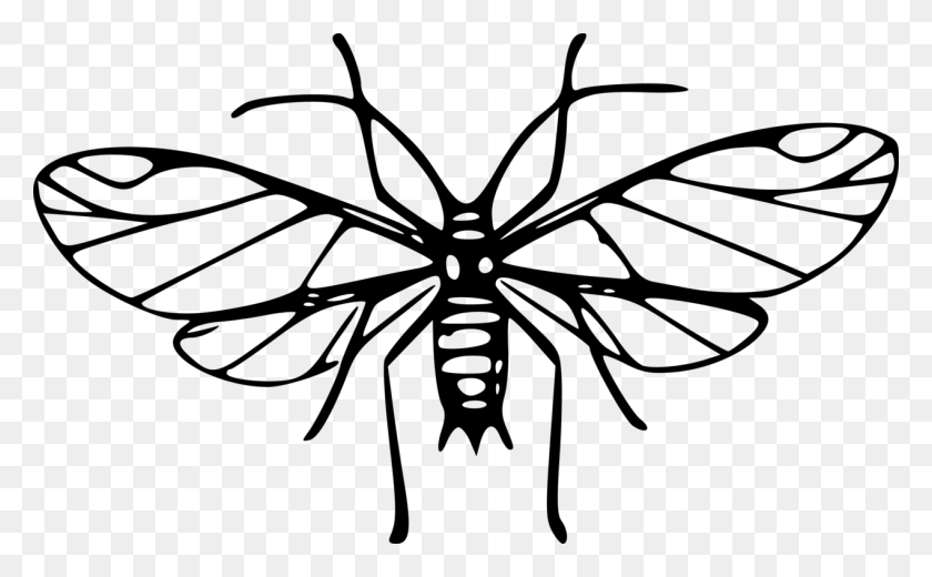 1270x750 Mosquito Insecto Descargar Equipo De Arte De Línea - Guisantes De Imágenes Prediseñadas En Blanco Y Negro