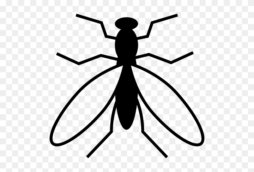 512x512 Mosquito Png Icon - Mosquito PNG