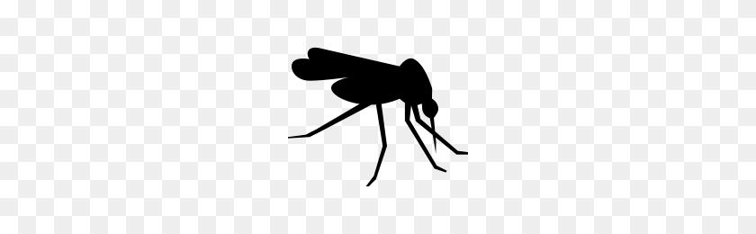 200x200 Mosquito Png Images Free Download - Mosquito PNG