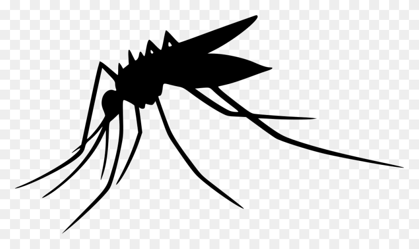 980x554 Mosquito Png Images Transparent Free Download - Mosquito PNG