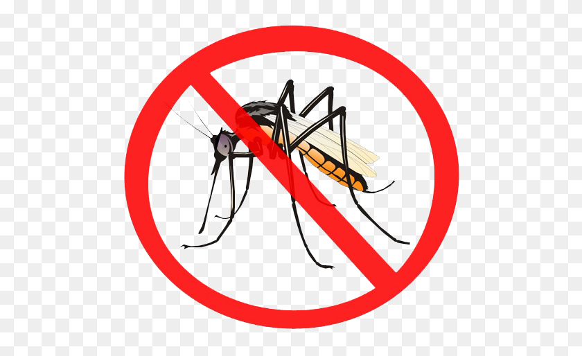 500x454 Mosquito Png Transparent Images - Mosquito Clip Art
