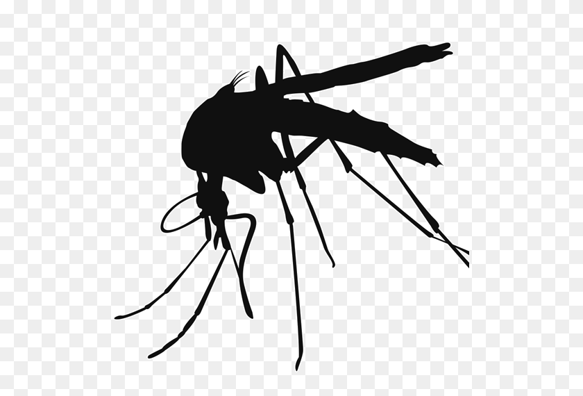 512x510 Mosquito Png