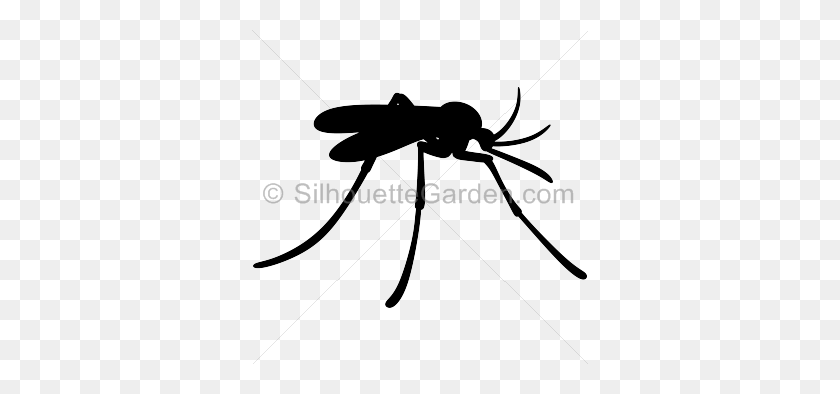 336x334 Mosquito Silhouette Clip Art Download Free Versions Of The Image - Mosquito Clip Art