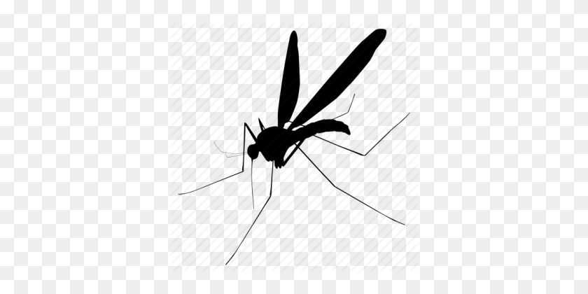 360x360 Mosquitos Png - Mosquito Png