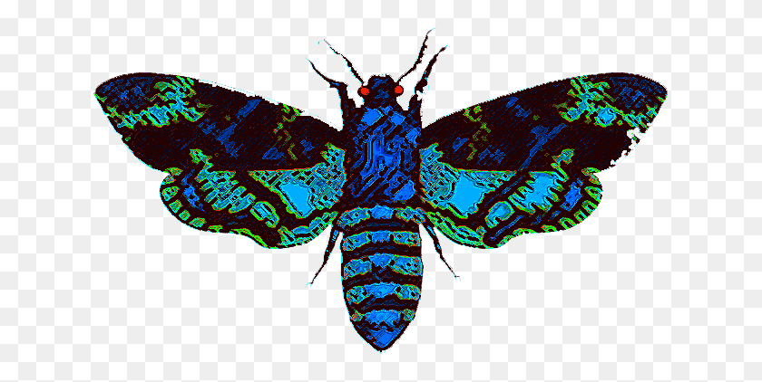 633x362 Moth Man Png Clipart - Moth PNG