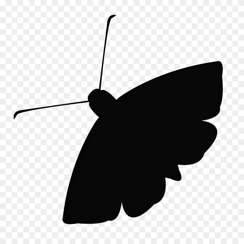 1200x1200 Moth Png Images Transparent Free Download - Moth PNG