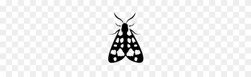 200x200 Moths With Black And White Color Patterns Collection Noun Project - Moth PNG