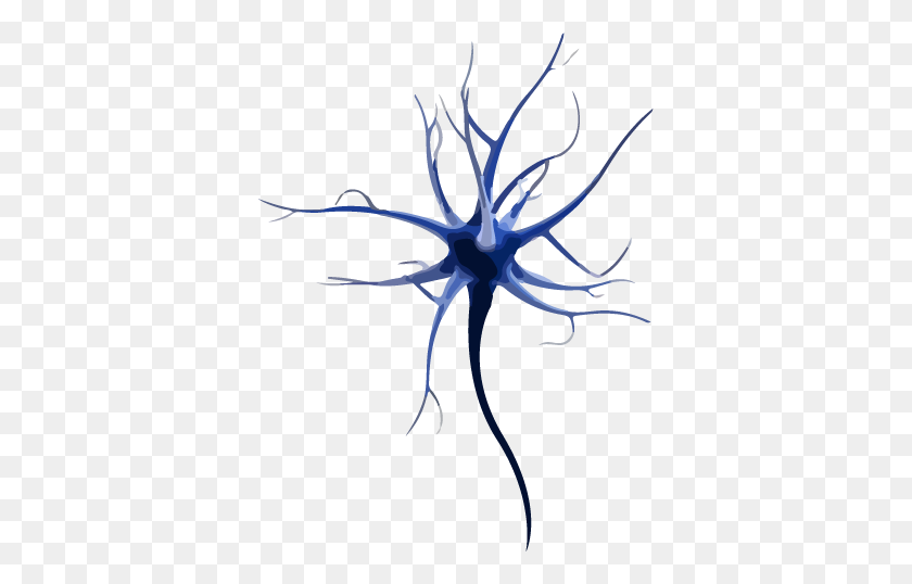 364x478 Motor Neurone Disease - Neuron PNG