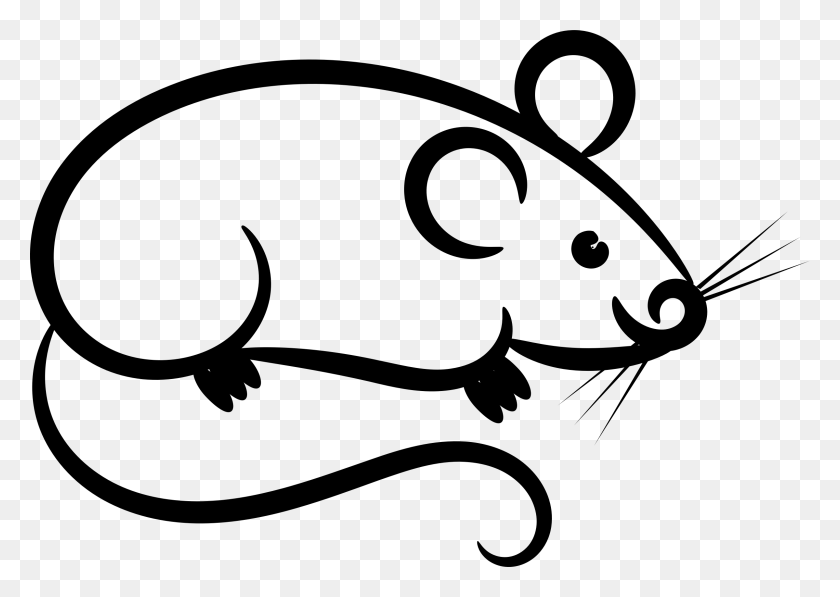 2400x1654 Mouse - Mouse Clipart Black And White