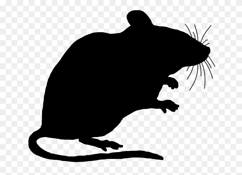 698x548 Mouse Clip Art - Mouse Clipart Black And White